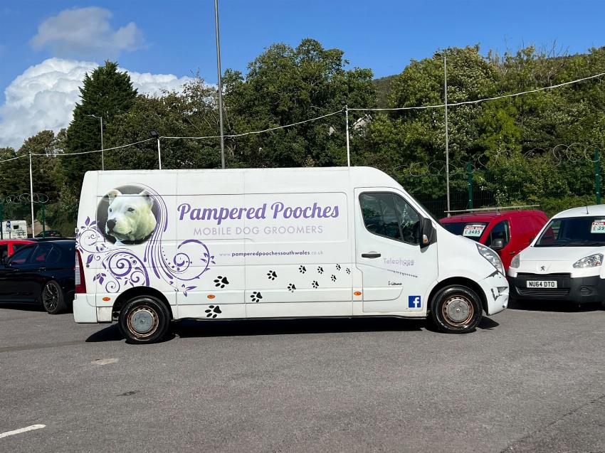 2010 60 RENAULT MASTER